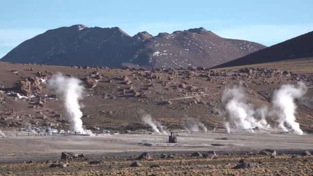 Chile. San Pedro de Atacama. Fumaroles of the Atacama Desert. A panoramic view of some geyser in the Valley of — Stock Video