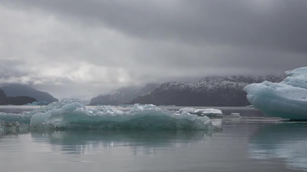 Patagonya. Buzdağı Buzul Gölü 'nde. Buzul ve And Dağları Arkaplanda Su. Şili, Patagonya, Torres Del Paine Ulusal Parkı. — Stok video