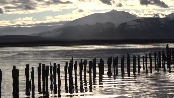 Patagonya. Şili. Kuşların uyuduğu eski ahşap iskelede güzel turuncu gün batımı. Güneş çoktan battı. — Stok video