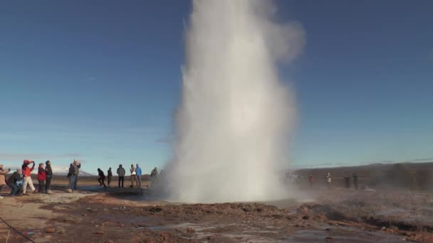 Island. Osud gejzírů na Islandu. Gejzír Strokkur vybuchl v geotermální oblasti Haukadalur, která je součástí trasy zlatého kruhu — Stock video