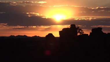 Afrika. Namibya. Çölde gün batımı. Yakın çekim, gün batımında büyük bir titrek ağacın eğimli görüntüsü..