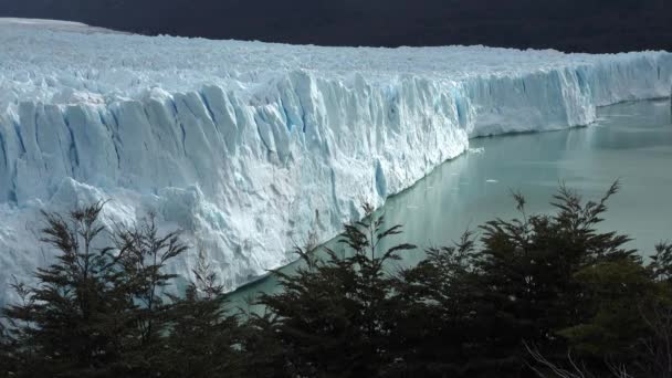 Патагония. Ледник Перито-Морено в Национальном парке Лос-Гласиарес в Аргентине. — стоковое видео