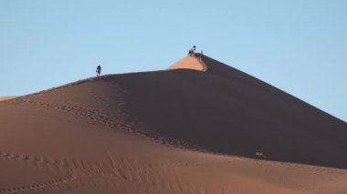 Namibya. Afrika. Ünlü sonsuz kum denizindeki ölü ağaçların manzarası ve güneşli çöldeki kırmızı kum tepeleri.