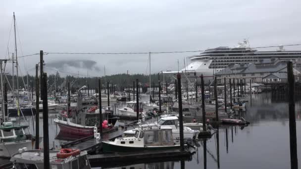 Vancouver, Canadá, 25 de agosto de 2017. O navio de cruzeiro entra para o porto. — Vídeo de Stock