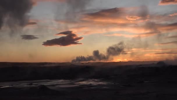 Island. Geotermisk region dalgång med rökande fumaroler och varmströmmande vatten från gejsrar. — Stockvideo