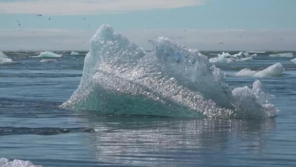 Islanti. Kelluvia jäävuoria Jokulsarlonin jäätikkölaguunissa. Jokulsarlon on jäätävä järvi Kaakkois-Islannissa lähellä Vatnajokullin kansallispuistoa. 4K — kuvapankkivideo