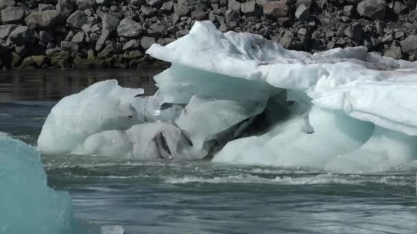 アイスランド。ヨークサルロン氷河ラグーンに浮かぶ氷山。ジョクルサロン(Jokulsarlon)は、アイスランド南東部のヴァトナヨークトル国立公園近くにある氷河湖である。4K — ストック動画