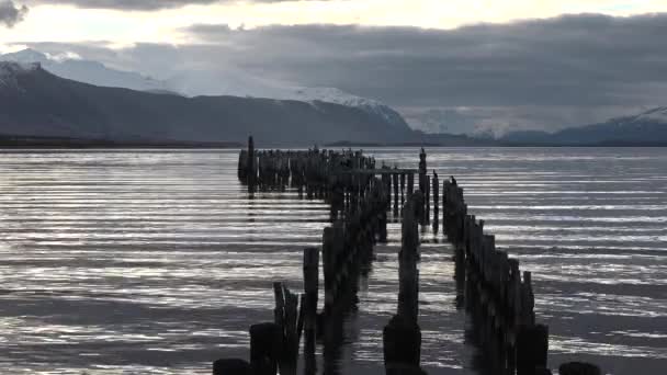Patagonie. Chile. Krásný oranžový západ slunce na starém dřevěném molu, kde spí ptáci, slunce již zapadlo — Stock video