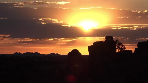 Namibië. Afrika. Aloë boom. Kleurrijke zonsondergang — Stockvideo