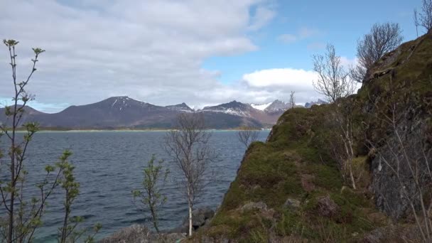 Norwegia. Góry i fiordy Skandynawii. Piękna przyroda Krajobraz Norwegii, wyspa Lofoten. — Wideo stockowe