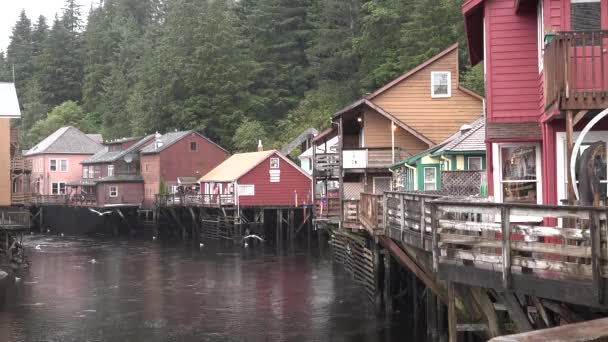 Аляска. Деревня Кетчикан является мировой столицей лосося. Круиз по внутреннему проливу. — стоковое видео
