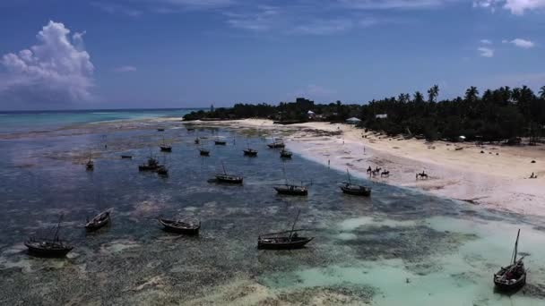 Żeglowanie łodzią po Oceanie Indyjskim.Rybacy drewniany dhow żeglarstwo o zachodzie słońca w Zanzibar. Zanzibar to archipelag tanzański. — Wideo stockowe