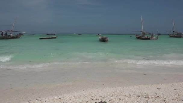 Sansibar. Traditionelle Holzboote tansanischer Fischer — Stockvideo