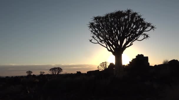 Namibia. Widok na krajobraz drgawek o zachodzie słońca, Afryka Południowa. — Wideo stockowe