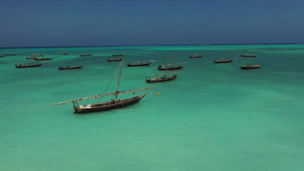 Pescadores dhow de madeira navegando ao pôr do sol em Zanzibar — Vídeo de Stock