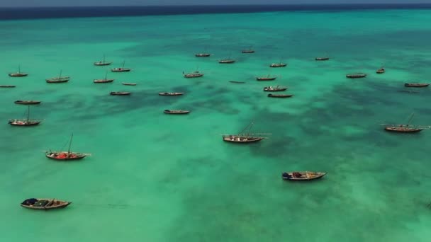Fischer hölzerne Dhau-Segel bei Sonnenuntergang in Sansibar — Stockvideo