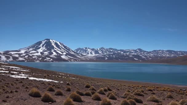 Chile. Malowniczy krajobraz pustyni Atacama — Wideo stockowe