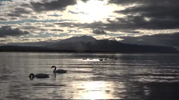 Patagónia. Chilében. Naplemente a régi leszállási szakasz Puerto Natales. — Stock videók