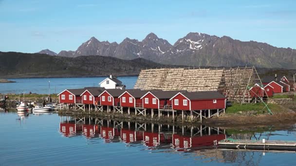 Лофотенские острова. Норвегия. Традиционные деревянные дома норвежских рыбаков. — стоковое видео