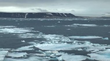 Gezinti. Kuzeye gemi yolculuğu yap. Gün doğumunda denizden görülen kuzey manzaralı karlı dağ. Norveç vahşi