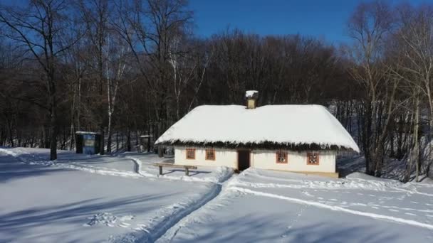 Ukrayna. Köy manzarası. Ukrayna köyünün havadan görünüşü. Kış zamanı. — Stok video