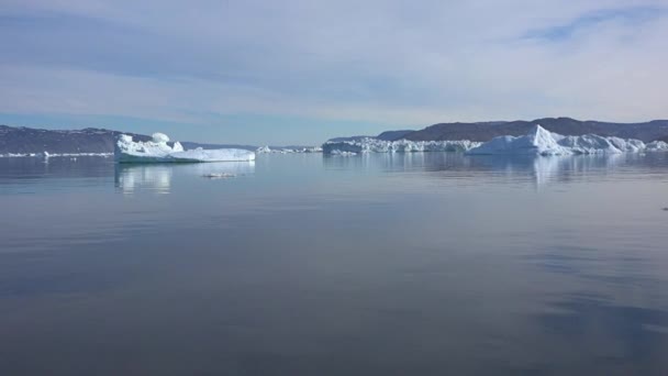 Antarctica. IJsbergen. Smeltende gletsjers. Opwarming van de aarde en klimaatverandering. — Stockvideo