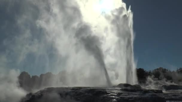 Nueva Zelanda. Erupción de géiser en Rotorua. — Vídeo de stock