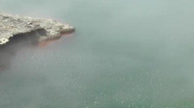 Yeni Zelanda. Buharlı Gayzerler Havuzu. Kuzey Adası.