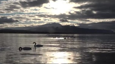 Şili. Patagonya. Gün batımında fiyort manzarası.