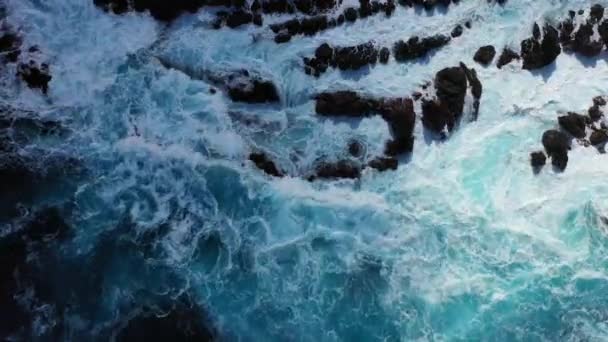 Madeira. Portuguese island. Waves of the Atlantic Ocean on the shores of Madeira. — Stock video