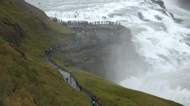 Islandia. Złote wodospady. Islandzkie wodospady, słynna atrakcja na Złotym Kręgu. — Wideo stockowe