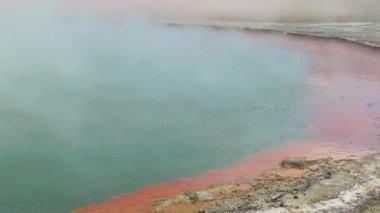 Yeni Zelanda. Gayzerler ve fümeroller çeşmeleri.