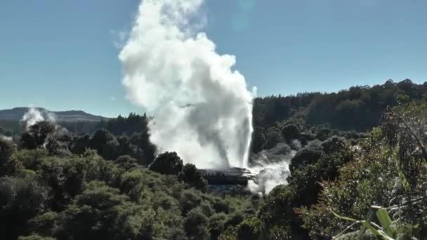 Nueva Zelanda. Fuentes de géiseres y fumarolas. — Vídeo de stock