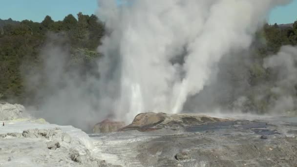 New Zealand. Fountains of geysers and fumaroles. — Stock Video