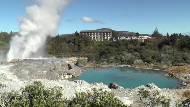 New Zealand. Fountains of geysers and fumaroles. — Stock Video