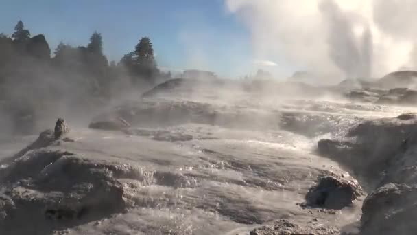 Nouvelle-Zélande. Fontaines de geysers et fumerolles. — Video
