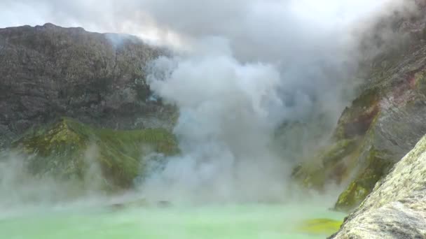 Nieuw-Zeeland. Fonteinen van geisers en fumarolen. — Stockvideo