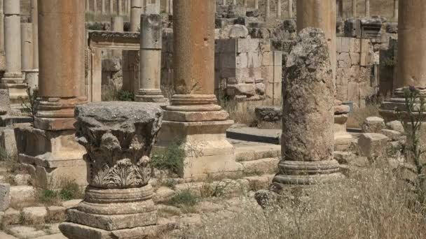 Jordanie - 01 05 2021 : Ruines romaines. La ville la plus grande et la mieux préservée de l'architecture gréco-romaine. — Video