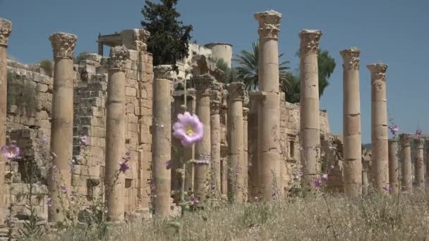 Jordánia - 05.01.2021: oszlopok a Jordániában. Ősi város. Római építészet. — Stock videók