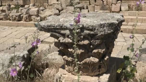 Jordan - 05.01.2021：Columns in the Jordan.古老的小镇罗马建筑. — 图库视频影像