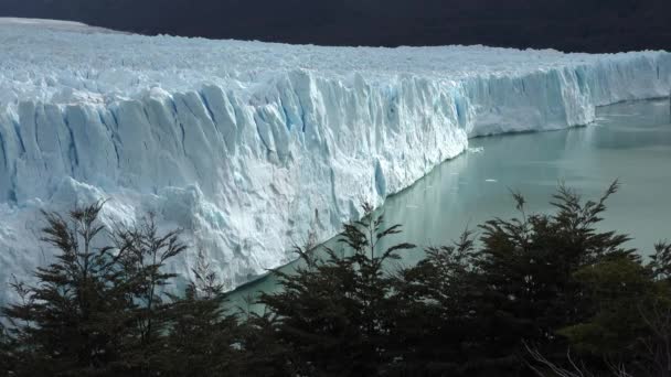 Argentina. Slavný ledovec Perito Moreno a ledovcové jezero. — Stock video