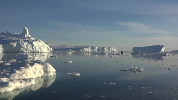 Natureza Antártica. Um enorme iceberg longo com reflexo de espelho flutuando em mar aberto. Dramático céu por do sol no fundo. — Vídeo de Stock
