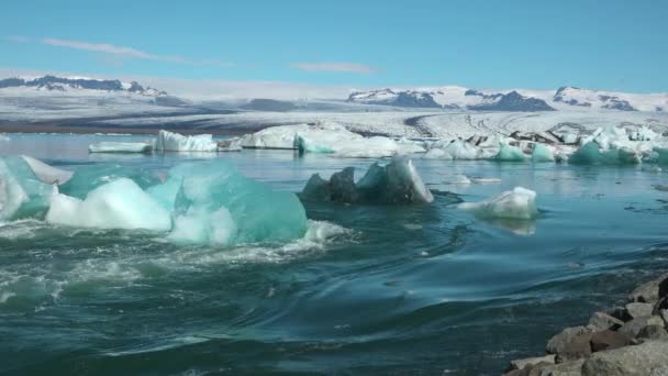 Ledové jezero s plovoucími ledovci na Islandu. — Stock video