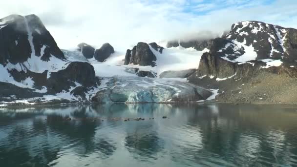 南極だ。氷河氷山と海の雪の海岸線。素晴らしいユニークな美しい荒野の自然と風景. — ストック動画