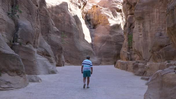 Um viajante caminha pelo desfiladeiro da antiga cidade de Petra. — Vídeo de Stock