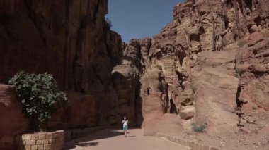 Bir gezgin, antik Petra şehrinin kanyonunda yürüyor..