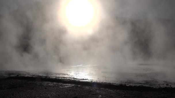 Boiling geysers with steam rising to the sky in Iceland. — Stock Video