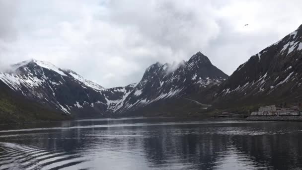 Cruise langs de kust van de Noorse fjord — Stockvideo