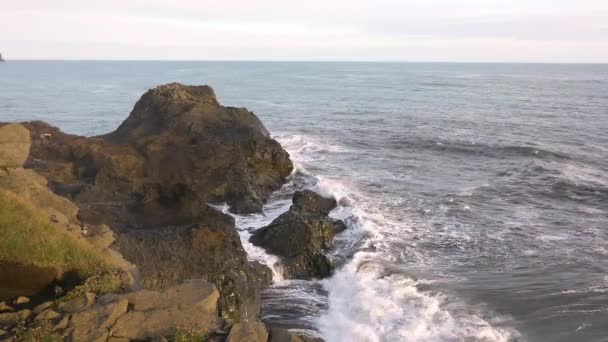 アイスランド。海と火山玄武岩の岩の上にカラフルな暖かい夕日。波は岩に衝突し、光に照らされて — ストック動画