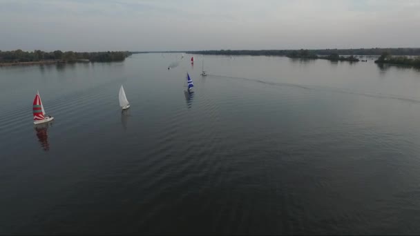 Yelkenli Yelkenli Yelkenli Yelkenli Bir Nehir Boyunca Havadan Çekildi — Stok video